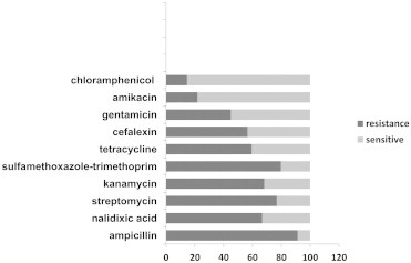 Objectives Horizontal transfer of integrons is one of the important factors that can contribute to the occurrence of multidrug-resistant (MDR) bacteria. This study aimed to determine the prevalence of integrons among MDR Escherichia coli strains isol