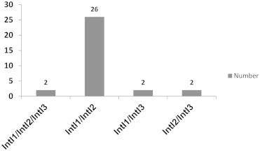 Objectives Horizontal transfer of integrons is one of the important factors that can contribute to the occurrence of multidrug-resistant (MDR) bacteria. This study aimed to determine the prevalence of integrons among MDR Escherichia coli strains isol
