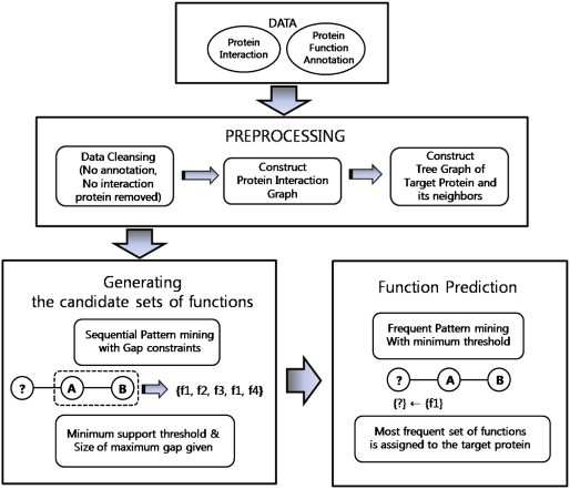 Objectives Predicting protein function from the protein–protein interaction network is challenging due to its complexity and huge scale of protein interaction process along with inconsistent pattern. Previously proposed methods such as neighbor count