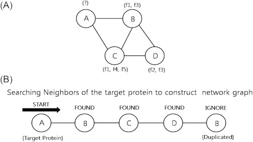 Objectives Predicting protein function from the protein–protein interaction network is challenging due to its complexity and huge scale of protein interaction process along with inconsistent pattern. Previously proposed methods such as neighbor count