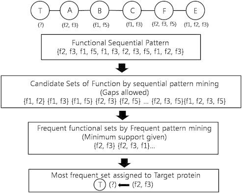 Objectives Predicting protein function from the protein–protein interaction network is challenging due to its complexity and huge scale of protein interaction process along with inconsistent pattern. Previously proposed methods such as neighbor count