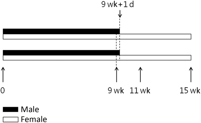 Objectives Nonionizing radiation is emitted from electronic devices, such as smartphones. In this study, we intended to elucidate the effect of electromagnetic radiation from smartphones on spatial working memory and progenitor cell proliferation in 