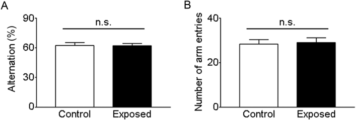 Objectives Nonionizing radiation is emitted from electronic devices, such as smartphones. In this study, we intended to elucidate the effect of electromagnetic radiation from smartphones on spatial working memory and progenitor cell proliferation in 