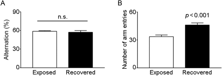 Objectives Nonionizing radiation is emitted from electronic devices, such as smartphones. In this study, we intended to elucidate the effect of electromagnetic radiation from smartphones on spatial working memory and progenitor cell proliferation in 