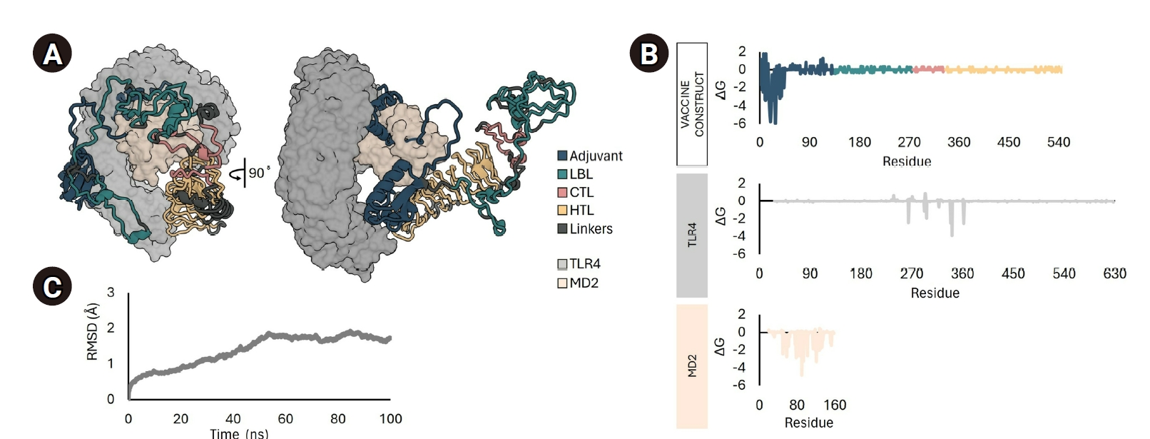 Objectives: This study aimed to identify safe, conserved, and highly immunogenic epitopes from all proteins of human-infecting norovirus (NoV) and to design a multi-epitope subunit vaccine construct from these epitopes using an immunoinformatics appr
