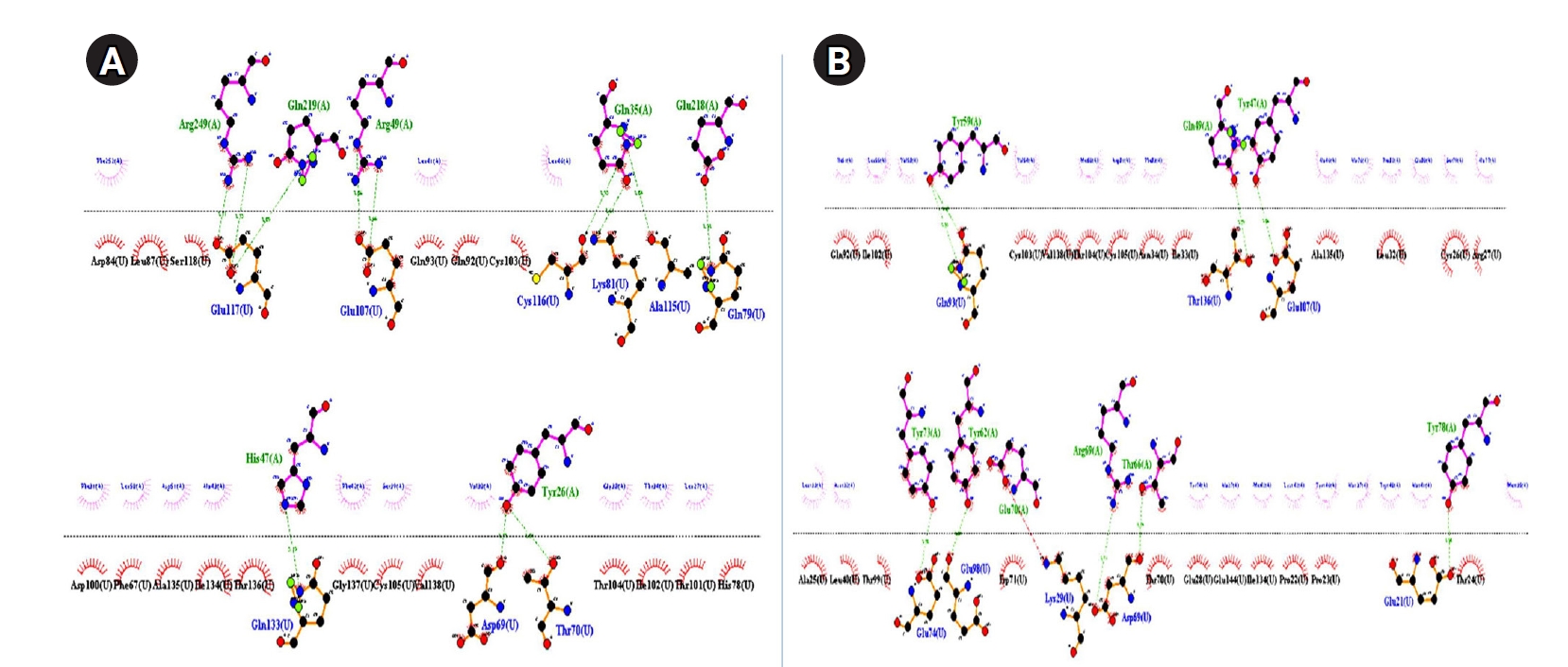 Objectives: Incorporating CD40 ligand (CD40L) into vaccine strategies has shown considerable potential for enhancing immune responses. In this study, we designed and formulated a CD40Lbased multi-epitope vaccine construct using immunoinformatics appr