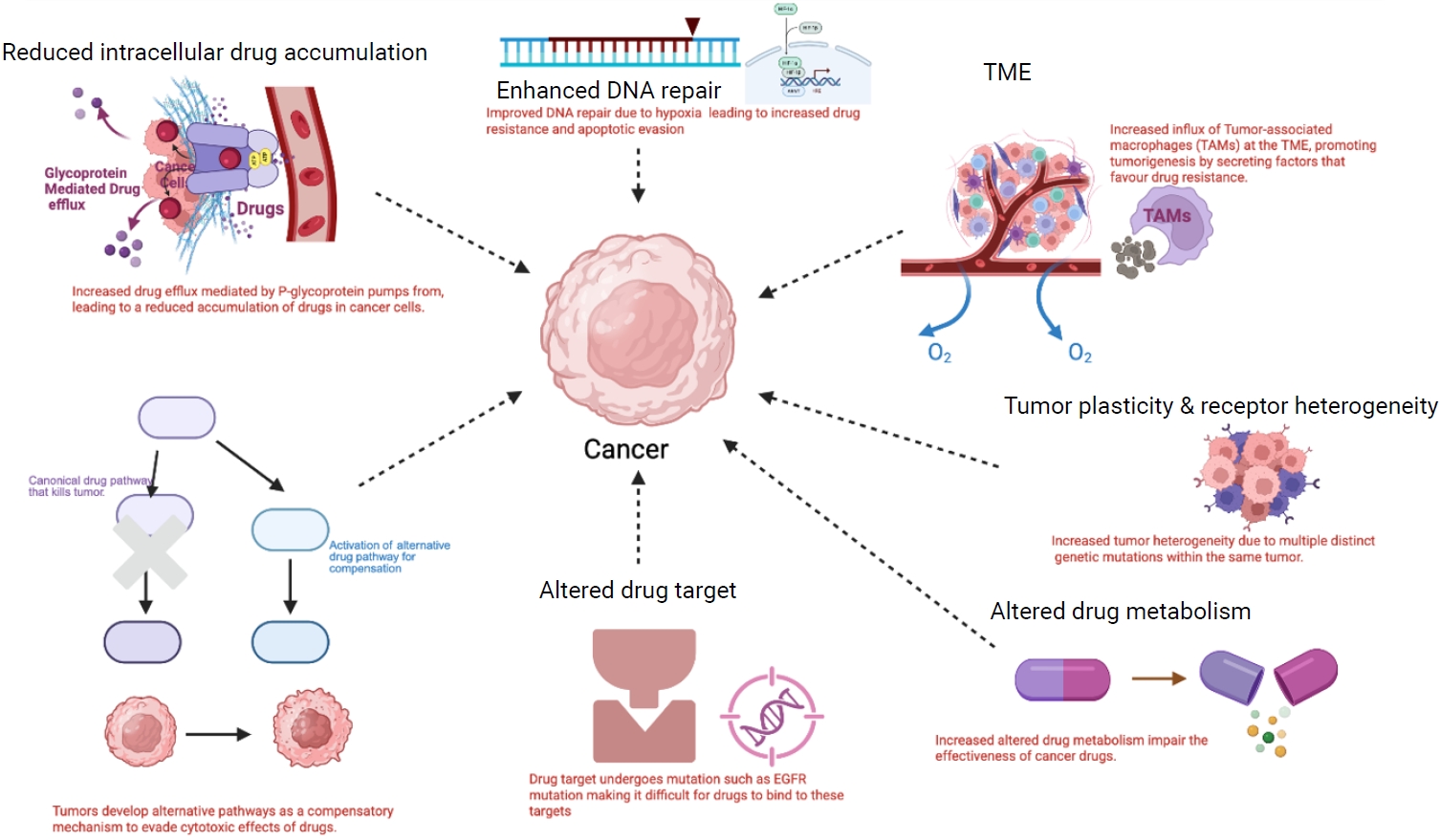 This review examines how biotechnology advances (CRISPR/Cas9, next-generation targeted therapies, nanotechnology-based drug delivery, and immunotherapies) can be applied to address cancer drug resistance worldwide. It also considers the economic burd