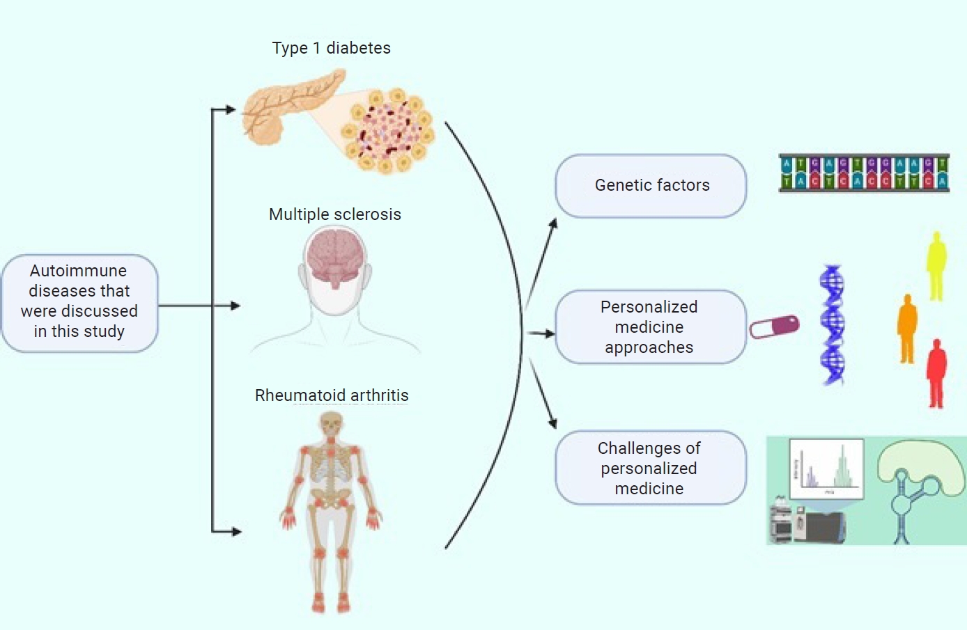 Autoimmune diseases are caused by dysfunction of the immune system, leading to inappropriate attacks on healthy tissues. Because patients have diverse genetic predispositions and heterogeneous responses to therapy, personalized medicine (PM) offers a
