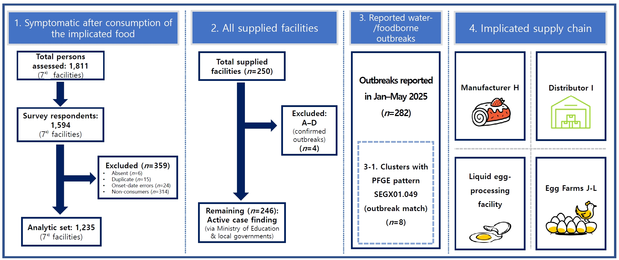 Objectives: In May 2025, clusters of salmonellosis were identified in 7 cities in the Republic of Korea, all associated with consumption of identical bakery products. This investigation aimed to characterize the outbreak, identify potential contribut