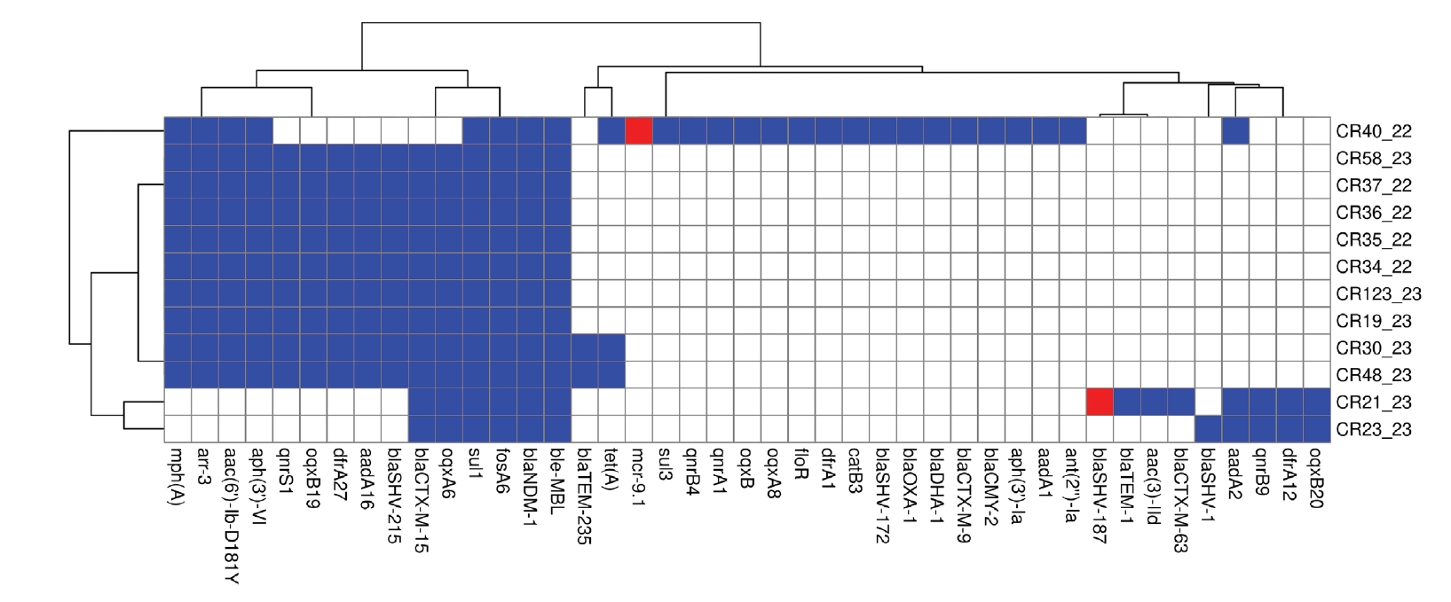 Objectives: Cases of nosocomial carbapenem-resistant Klebsiella pneumoniae (CRKP) have been increasing steadily since the 1990s. In this study, we sought to assess CRKP clonal diversity and patterns of dissemination at Hospital Canselor Tuanku Muhriz