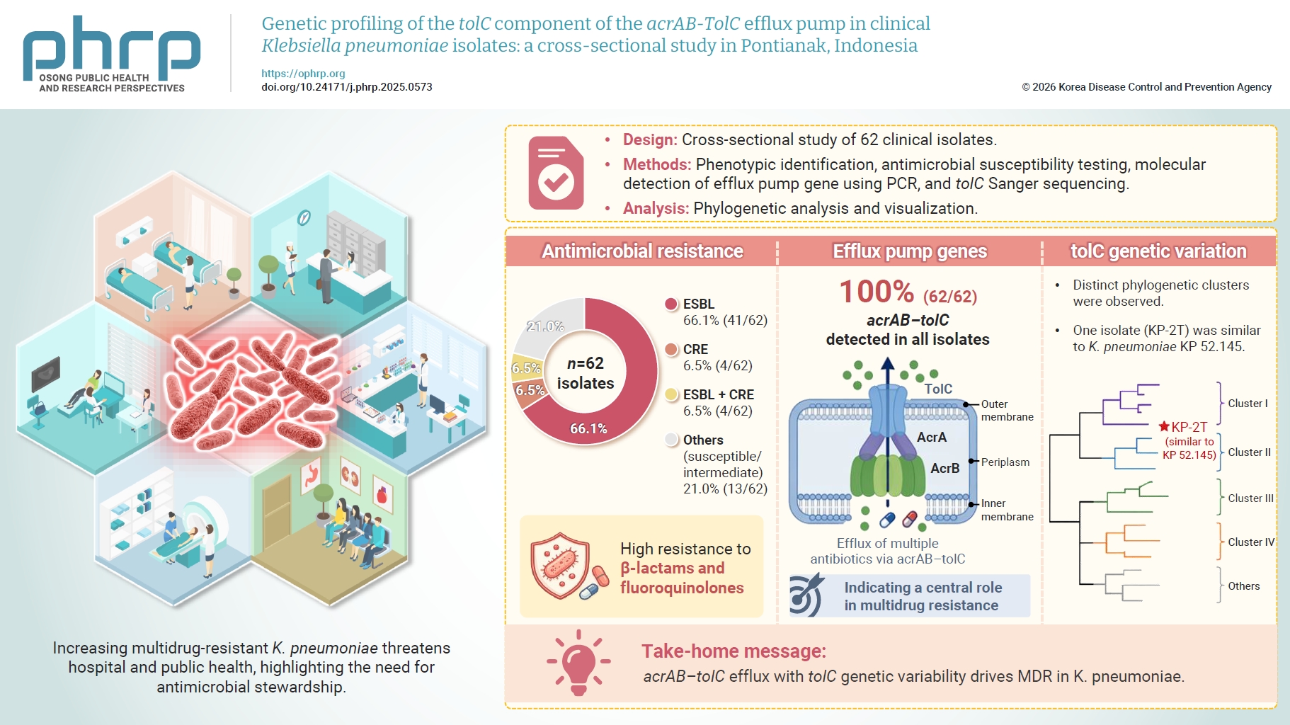 Objectives: Klebsiella pneumoniae is a leading cause of hospital-acquired infections. Its increasing prevalence poses substantial challenges to both hospital and public health systems due to the emergence of multidrug-resistant strains. Understanding