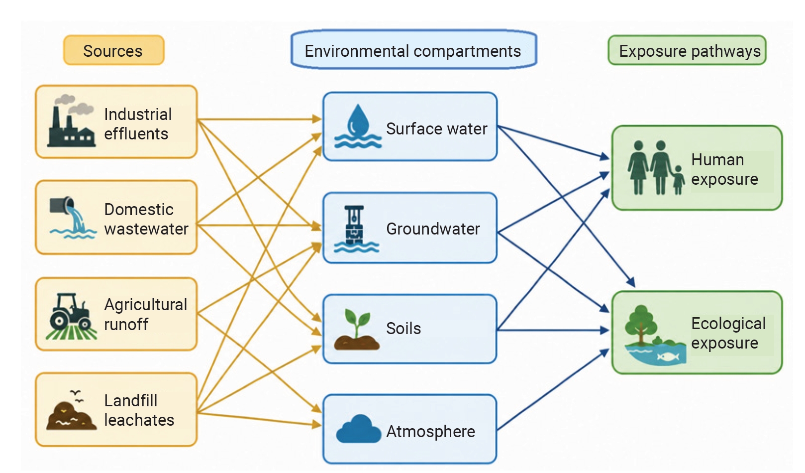 Objectives: This review aimed to synthesize recent advances in the understanding of emerging contaminants (ECs), including per- and polyfluoroalkyl substances, pharmaceuticals, personal care products, microplastics and nanoplastics, endocrine-disrupt