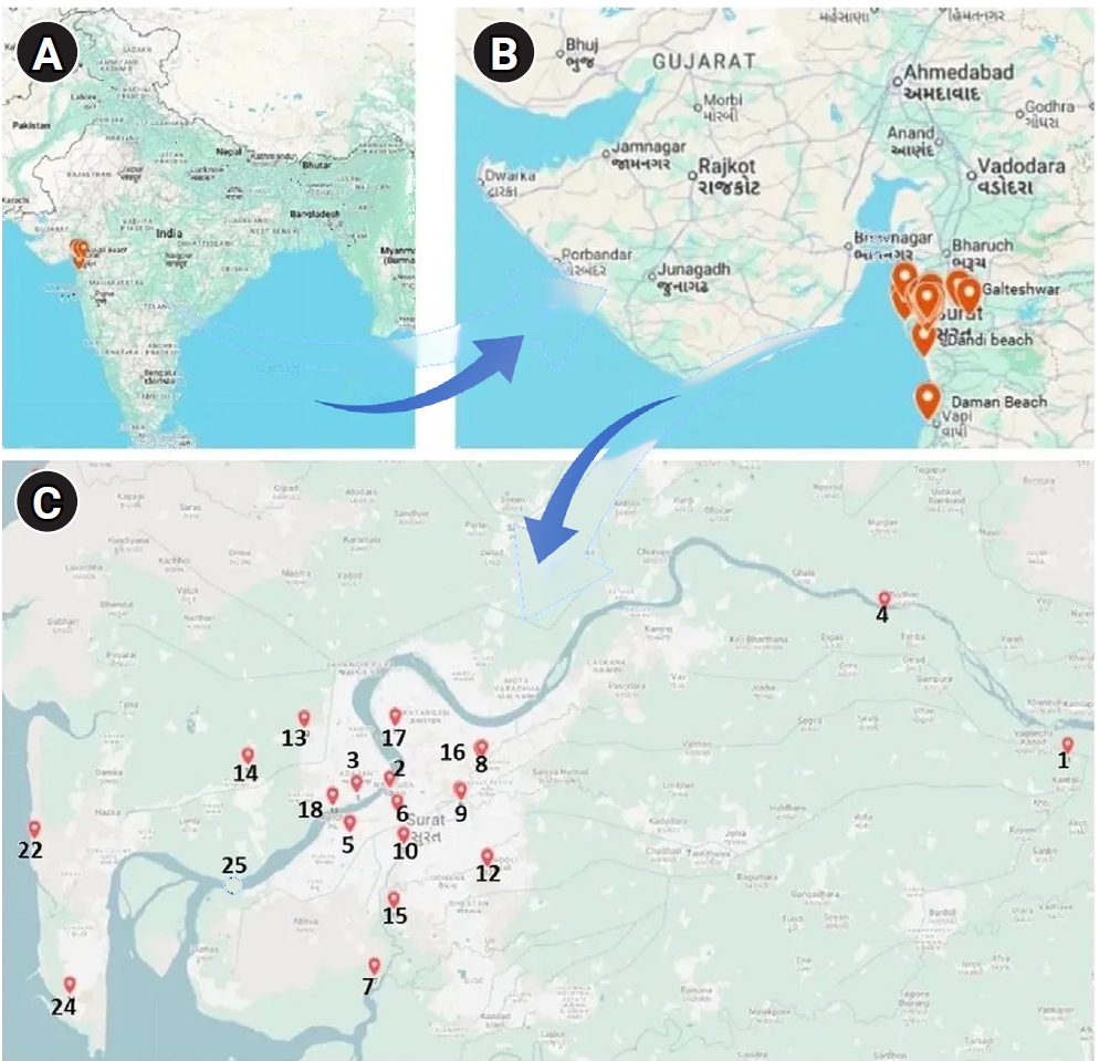 Objectives: This study characterized multidrug-resistant (MDR) bacteria in sewage, river, and marine ecosystems in South Gujarat, India. Methods: Water samples were collected from 25 hospital drainage, sewage treatment/pumping, Tapi River, and coasta