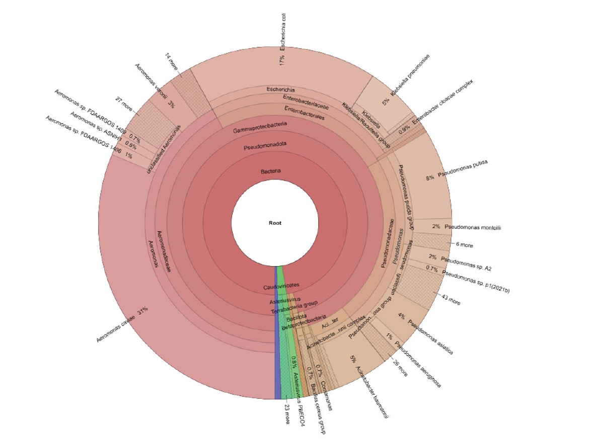 Objectives: This study characterized multidrug-resistant (MDR) bacteria in sewage, river, and marine ecosystems in South Gujarat, India. Methods: Water samples were collected from 25 hospital drainage, sewage treatment/pumping, Tapi River, and coasta