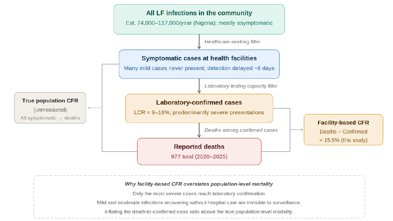Objectives: We examined national temporal trends, laboratory-confirmation performance, and climate associations in Lassa fever surveillance in Nigeria from 2020 to 2025, and assessed the impact of the coronavirus disease 2019 (COVID-19) pandemic on s