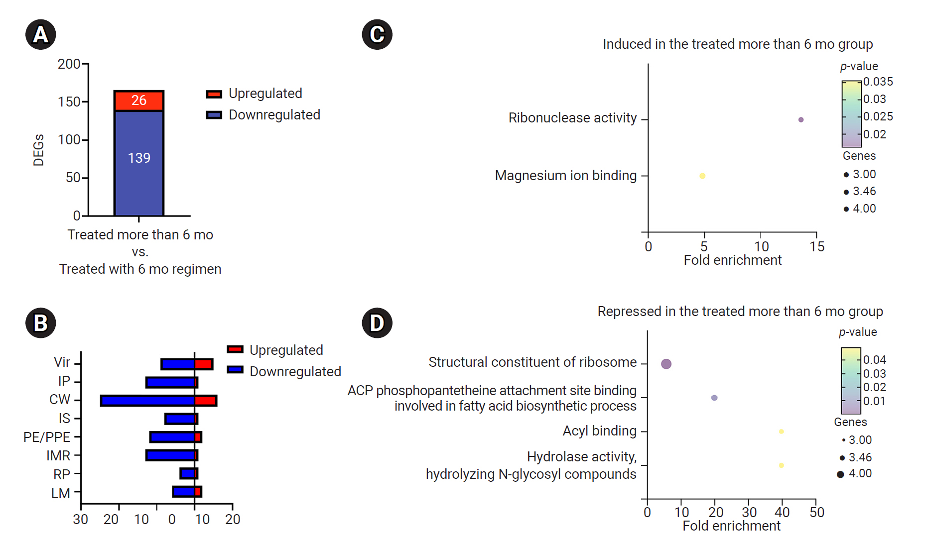 Enrichment analysis of differentially expressed genes (DEGs): (A) bar graph comparing the number of DEGs in the 2 groups. The red and blue bar indicate the number of genes whose expression was increased or decreased more than 2-fold in the group trea