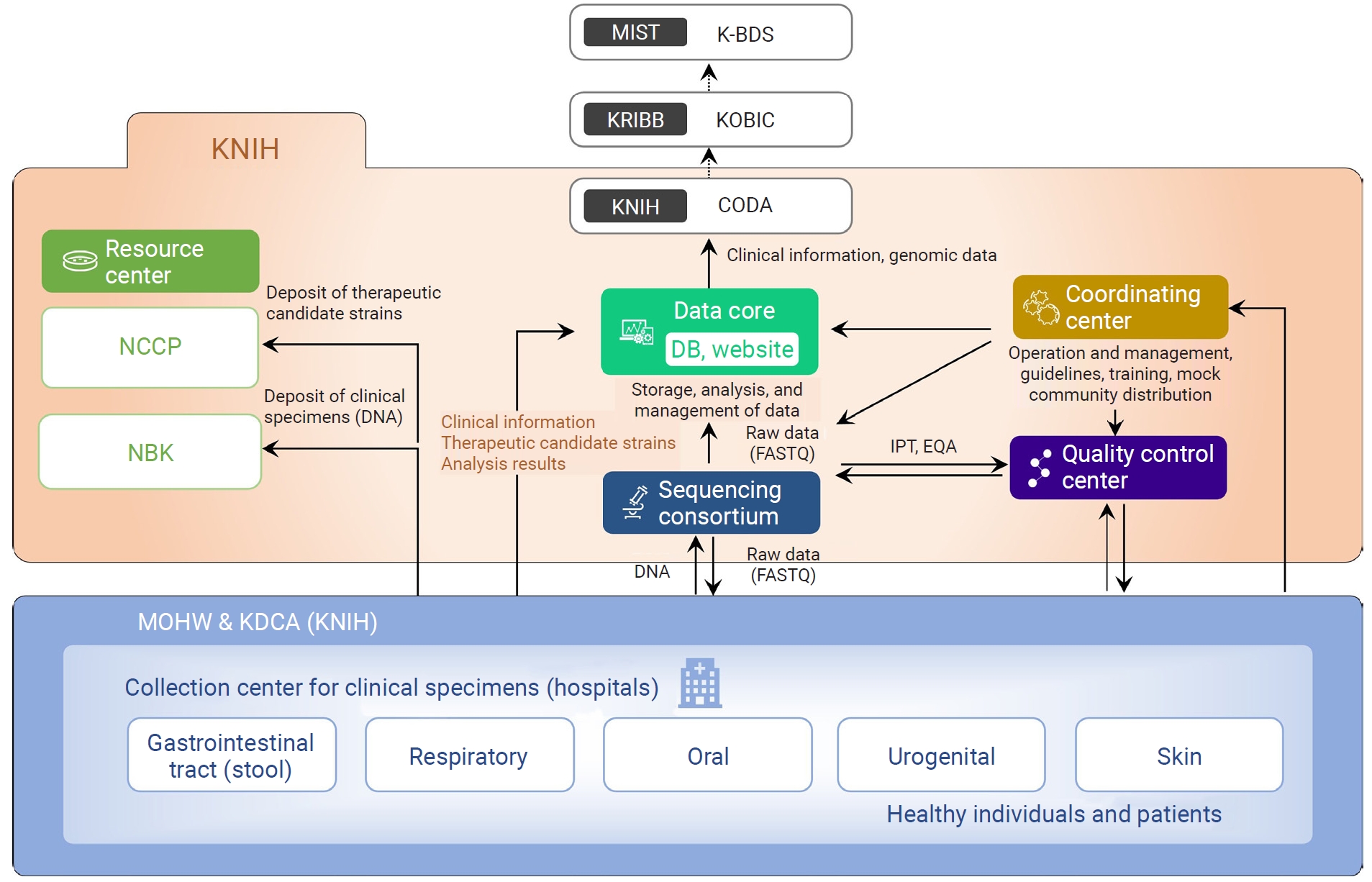Structure and governance of Clinical-Based Human Microbiome Research and Development Project, Republic of Korea.KNIH, Korea National Institute of Health; MIST, Ministry of Science and ICT; K-BDS, Korea BioData Station; KRIBB, Korea Research Institute