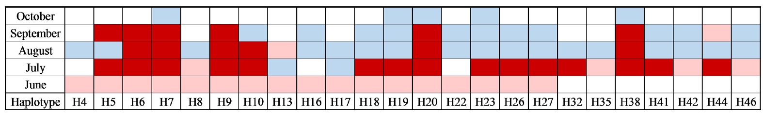 Monthly occurrence of haplotypes simultaneously identified in multiple regions. Pink indicates southern and central regions (Gijang and Yesan), blue indicates northern regions (Beopheung-ri, Baengnyeong Island, Baekyeon-ri, Cheorwon, Goseong, Gyeyang