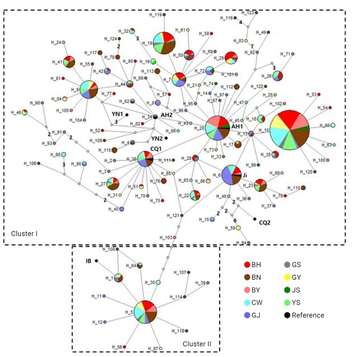 Haplotype network based on the cytochrome c oxidase subunit Ⅰ (COⅠ) gene as calculated by Network 10.2. Each color circle represents individuals from Beopheung-ri (BH), Baengnyeong island (BN), Baekyeon-ri (BY), Cheorwon (CW), Gijang (GJ), Gyeyang (G