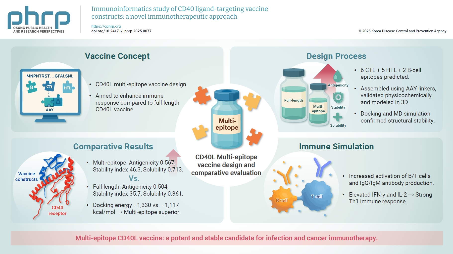 Objectives: Incorporating CD40 ligand (CD40L) into vaccine strategies has shown considerable potential for enhancing immune responses. In this study, we designed and formulated a CD40Lbased multi-epitope vaccine construct using immunoinformatics appr