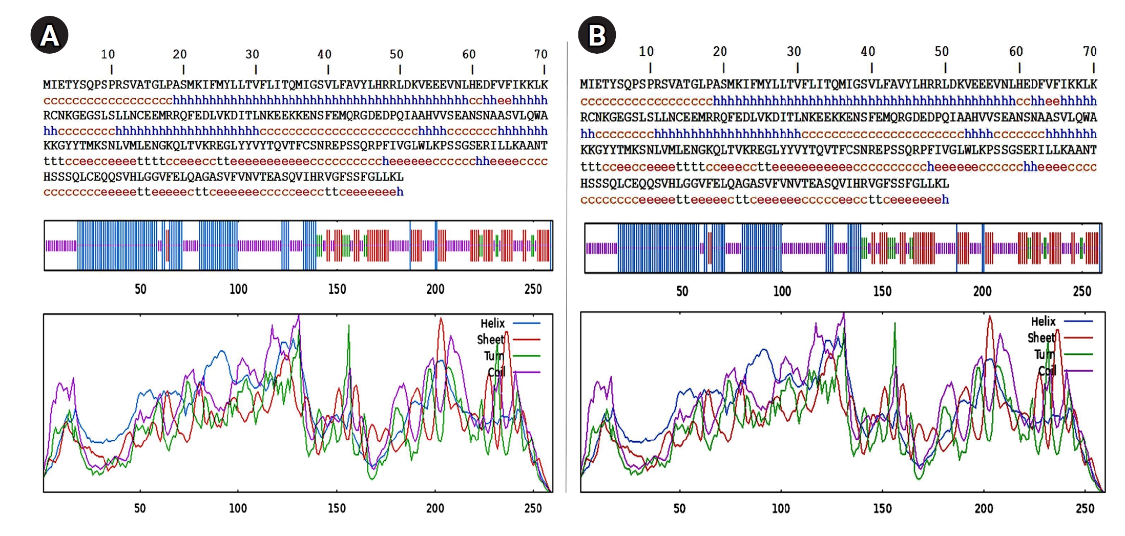 Secondary structure analysis of vaccine constructs. (A) CD40 ligand (CD40L) whole sequence secondary structure; (B) CD40L multi-epitope secondary structure. The multi-epitope construct showed a notable increase in alpha helices, beta sheets, and beta