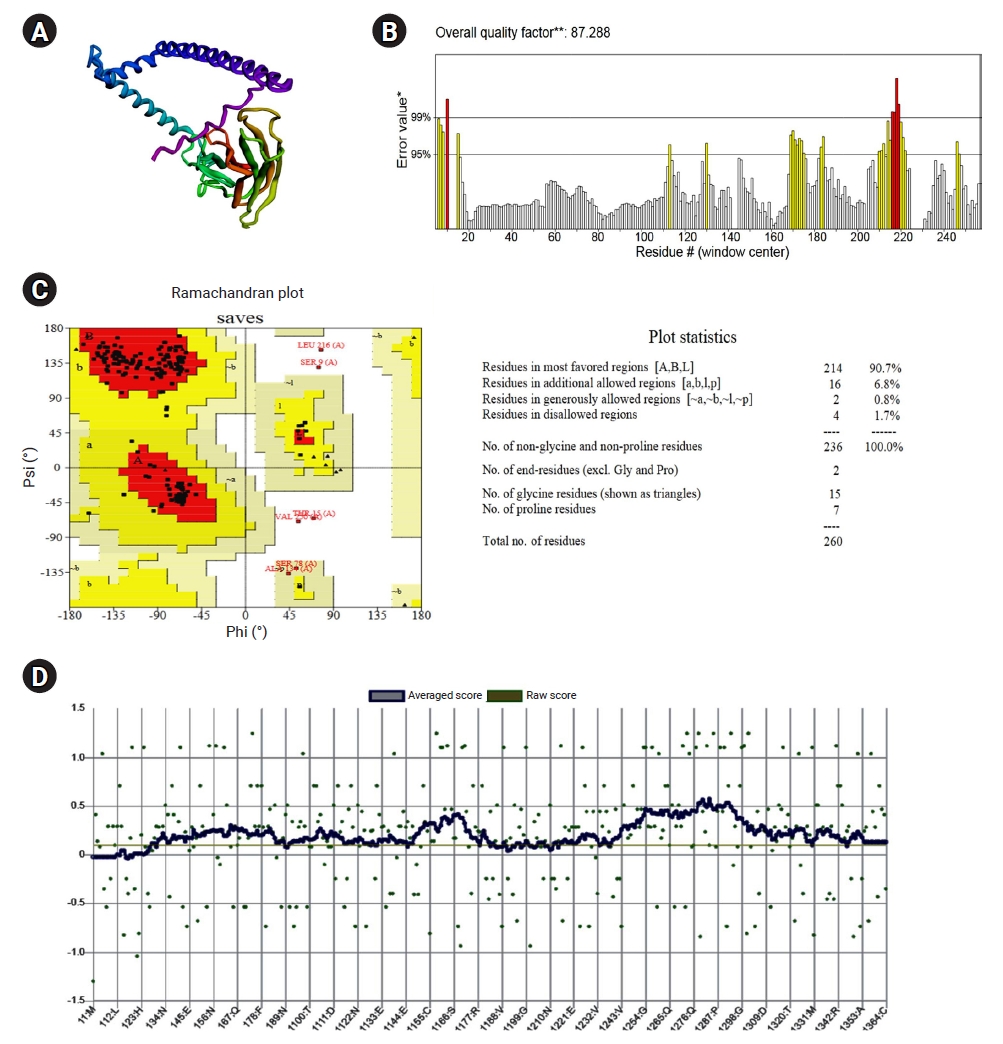 Structural validation of the CD40 ligand (CD40L) whole sequence construct. (A) Three-dimensional (3D) structure generated by the Robetta Baker server and refined by GalaxyRefine; (B) ERRAT error values, with a quality factor of 87.288; (C) Ramachandr