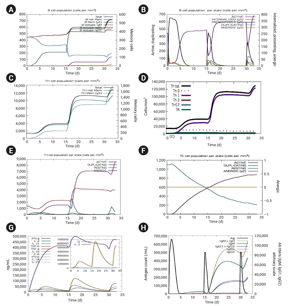 Immune simulation for the CD40 ligand (CD40L) whole sequence construct. (A) Evolution of B-cell populations after 3 injections; (B) active B-cell populations post-vaccination; (C) T helper (Th) cell populations; (D) generation of T cells; (E) active 
