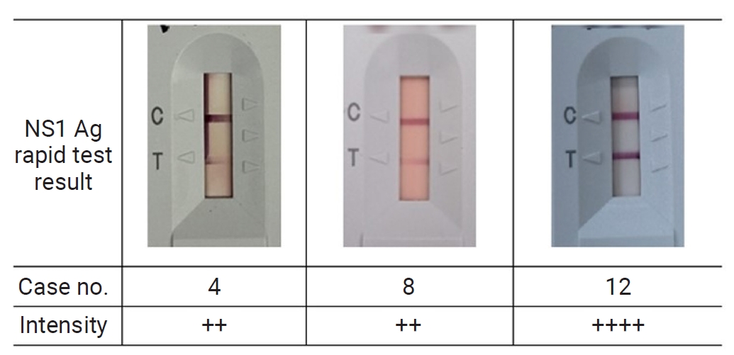 Rapid diagnostic testing results for confirmed dengue patients. C, control line; T, test line.