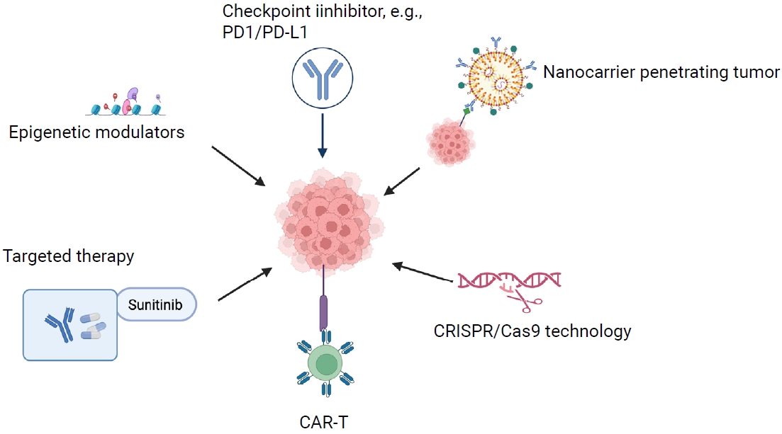 Immunotherapy & biotechnology platforms.PD1, programmed cell death protein 1; PD-L1, programmed cell death ligand 1; CAR-T, chimeric antigen receptor T-cell.
