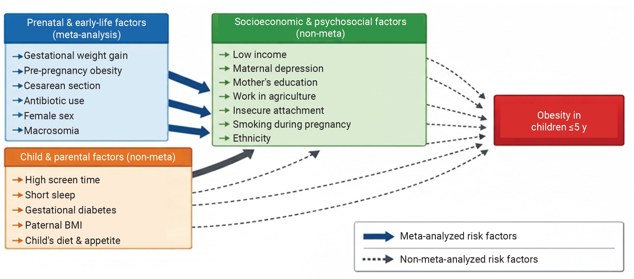Conceptual framework of perinatal/early determinants of childhood obesity. BMI, body mass index.