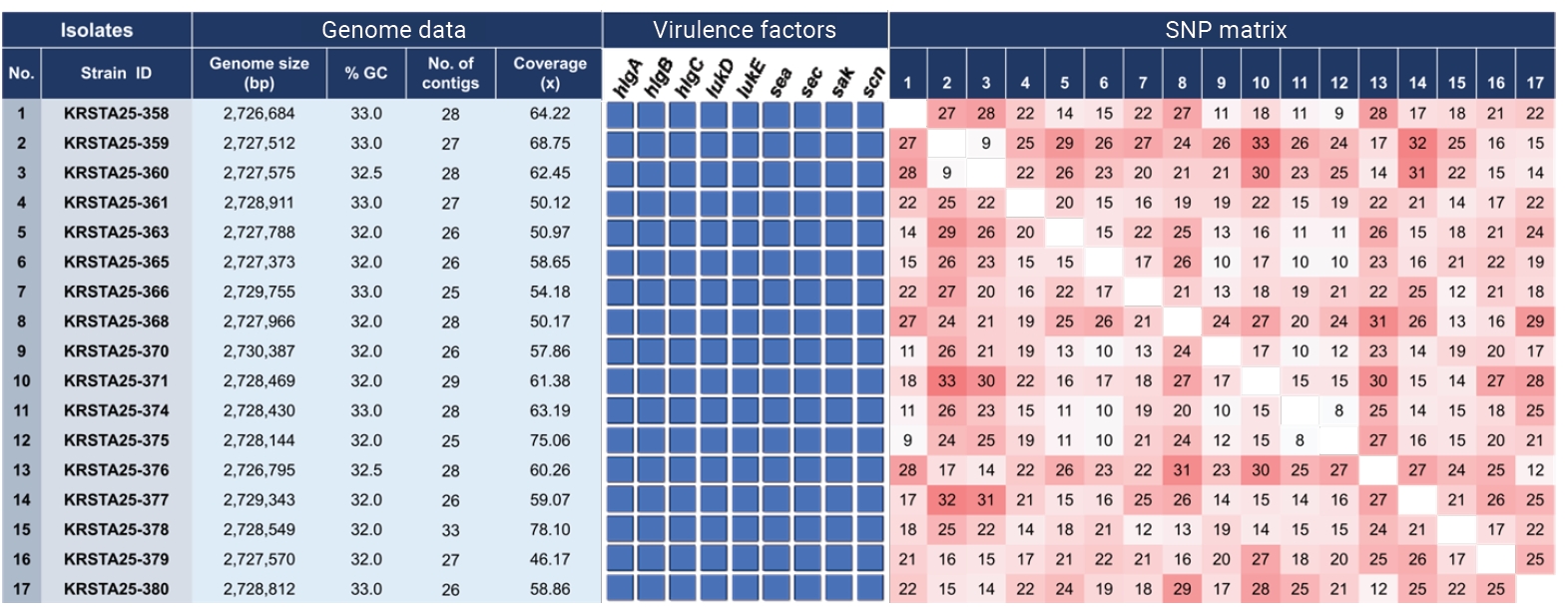 Whole-genome sequencing analysis results and isolate information for the 17 isolates carrying the sea-sec genes among the 24 isolates associated with the outbreak. The single nucleotide polymorphism (SNP) matrix indicates the number of SNP difference