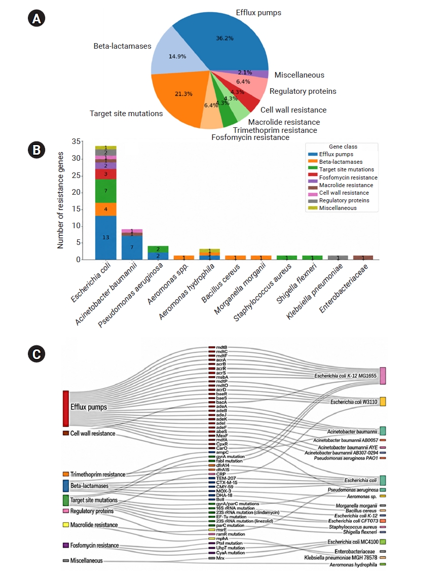 Distribution of antimicrobial resistance genes and mechanisms. (A) Pie chart showing the overall proportions of resistance gene classes detected in the dataset, with efflux pumps (36.2%) and target-site mutations (21.3%) as the dominant mechanisms. (