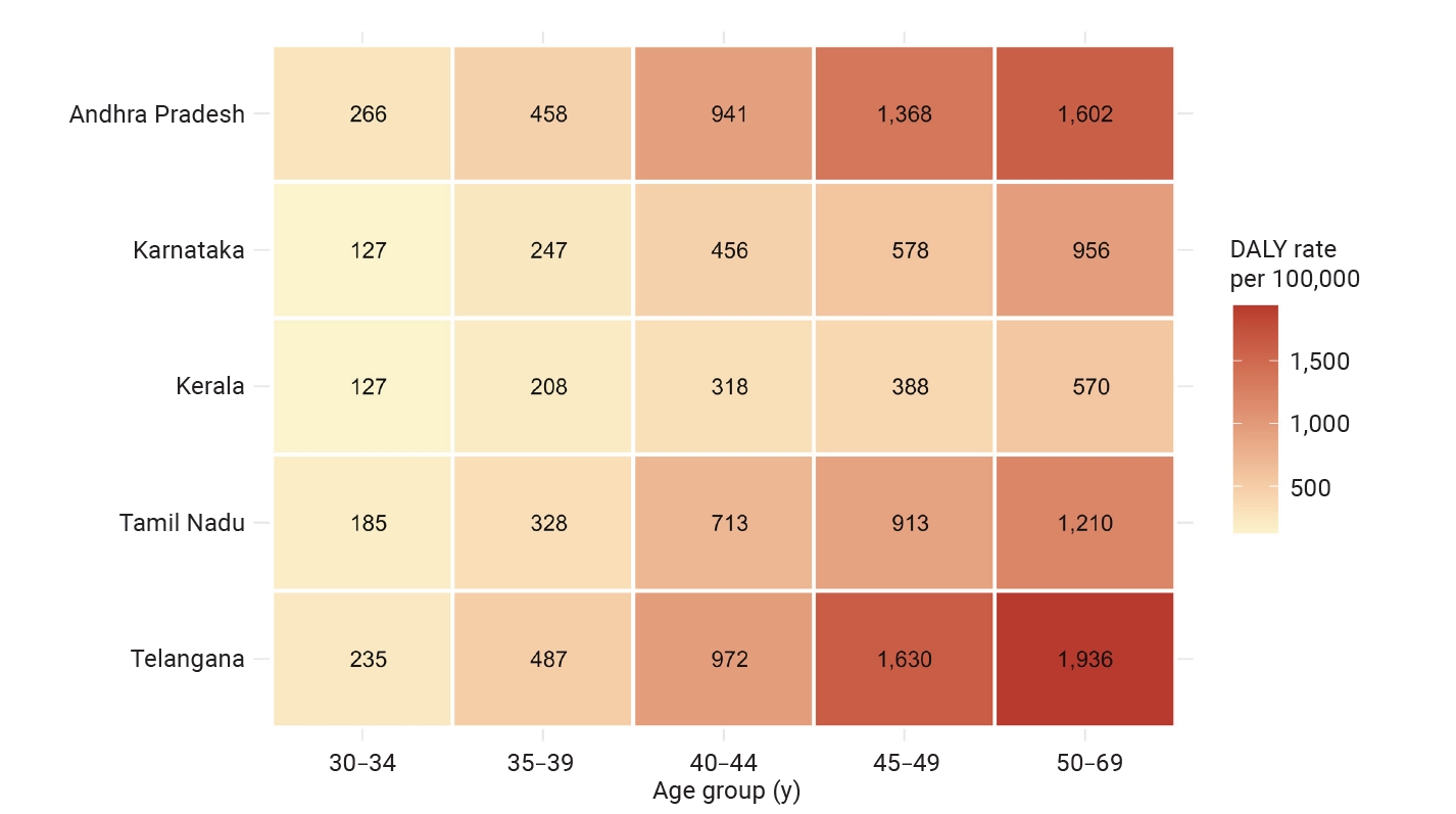 Geographic and age-stratified cervical cancer disability-adjusted life year (DALY) burden in South India, 2023. Age–specific DALY rates, not age-standardized rates, for cervical cancer among women aged 30–69 years across South Indian states in 2023, 