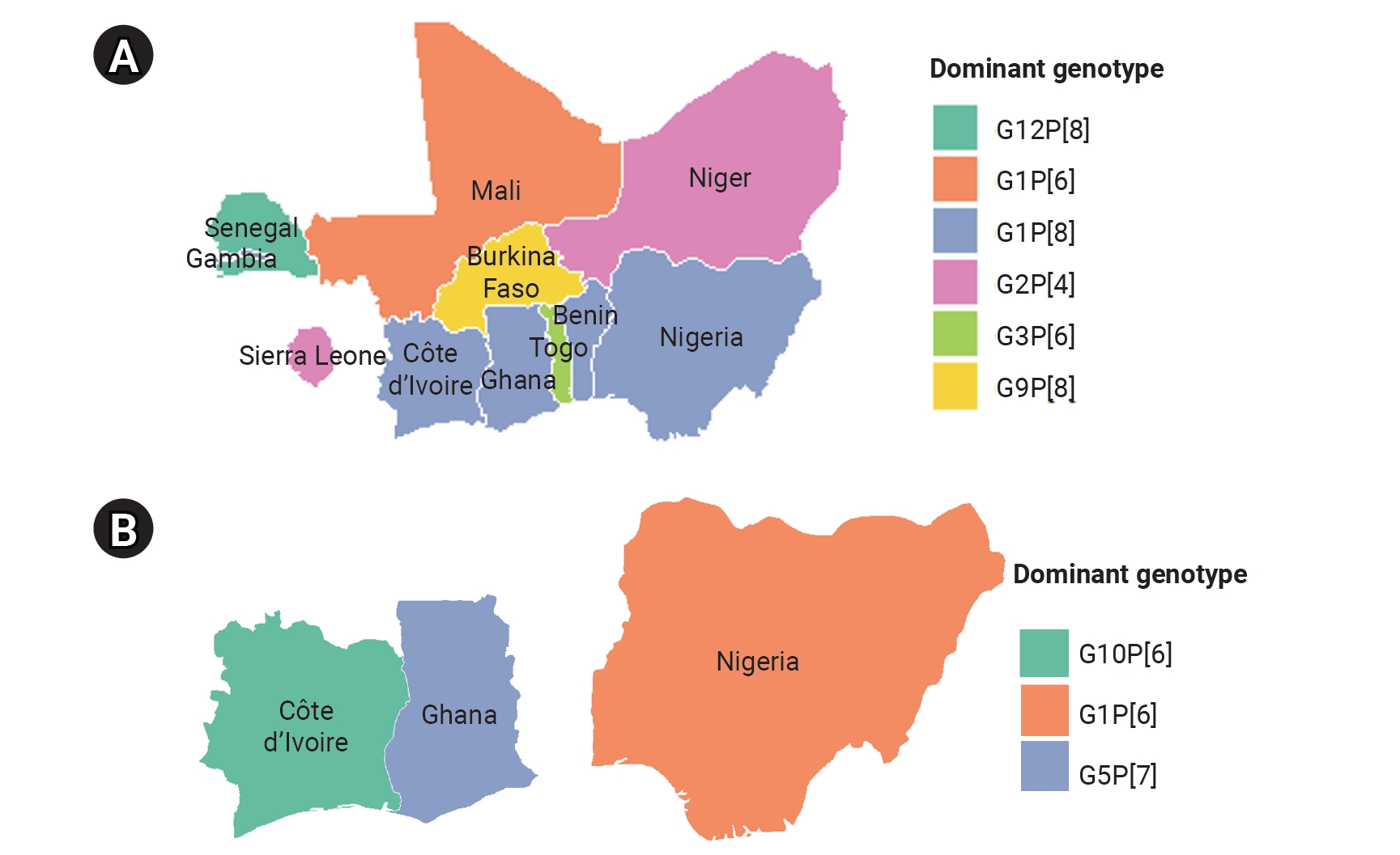 Geographic distribution of dominant rotavirus A genotype combinations by source category in West Africa: (A) humans and (B) animals. No separate map was produced for environmental water because only 1 study was available.