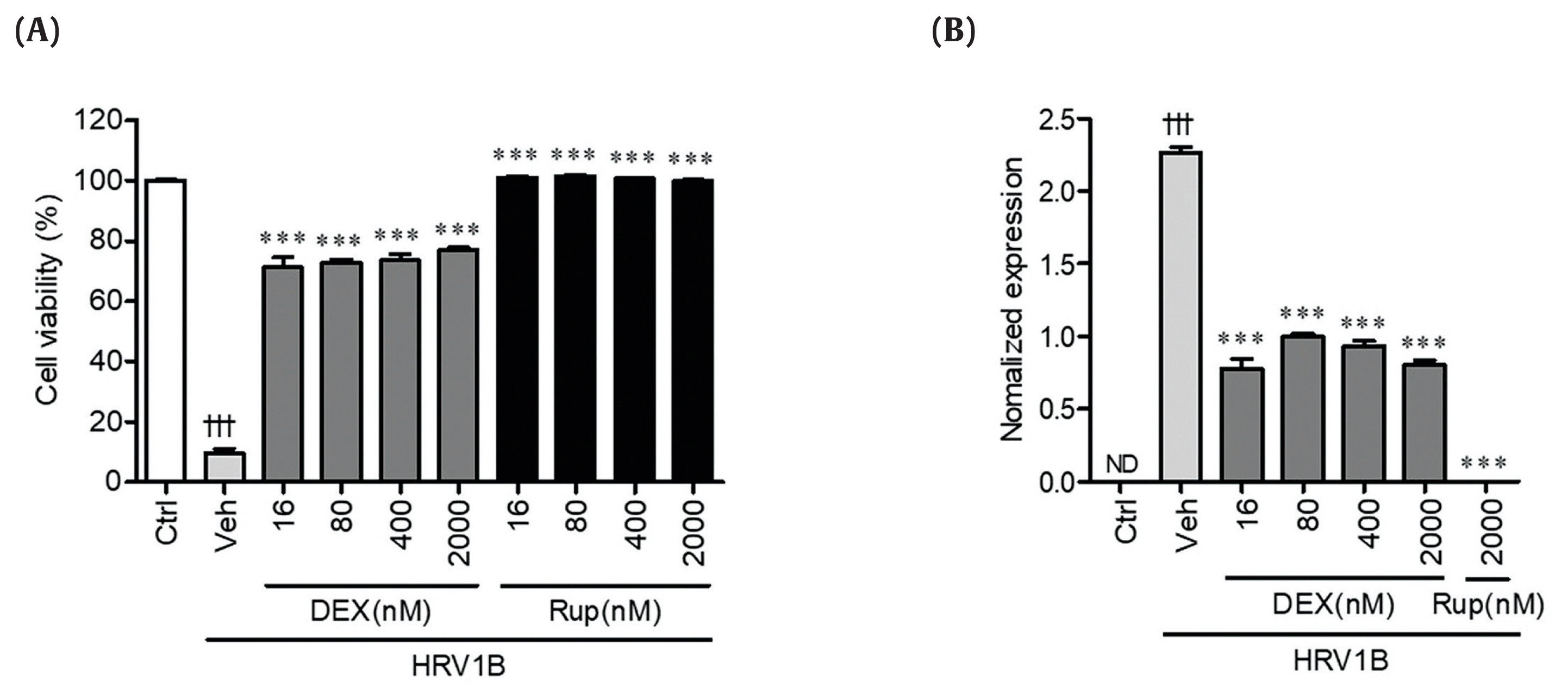 The antiviral activity of dexamethasone against HRV1B in vitro. (A) The antiviral activities of dexamethasone (DEX) against HRV1B were determined by inoculating HeLa cells with HRV1B at an MOI of 10 and treated with DEX. The viability of cells was me