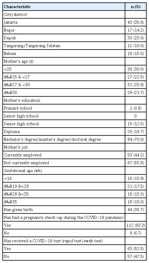Socio-demographic characteristics of the respondents (n=120)