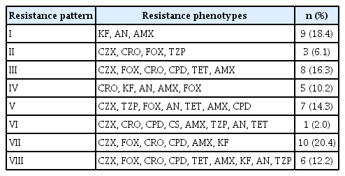 Multidrug-resistance patterns of isolates (n=49)