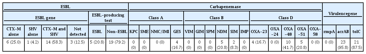 Detection of antibiotic-resistant and virulence genes in Klebsiella pneumoniae (n=24)