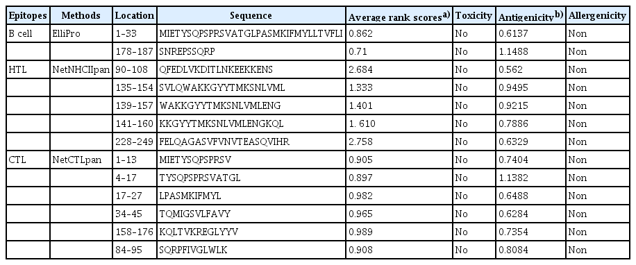 Prediction of dominant T and B-cell epitopes of the CD40L